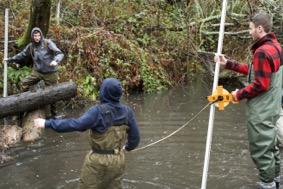 Three students in the Watershed course take a transect of Dutch Bill Creek to sample water flow rates throughout. This data is an essential piece to their report to Goldridge Resource Conservation District on the suitability of that site for salmon spawni