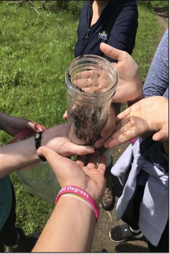 Students monitoring changes in soil