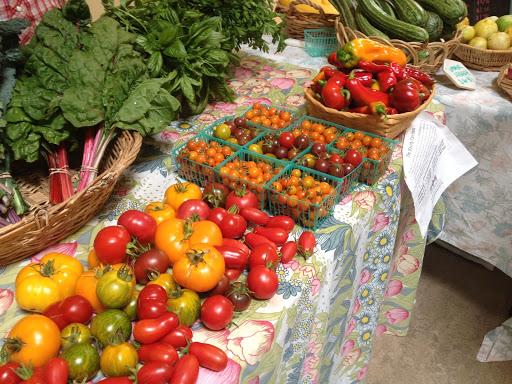Tableful of tomatoes, free to take, at the Health Center