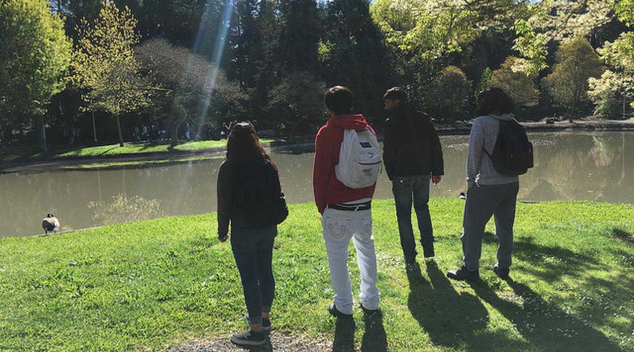 Students watching the ducks at Sonoma State's pond