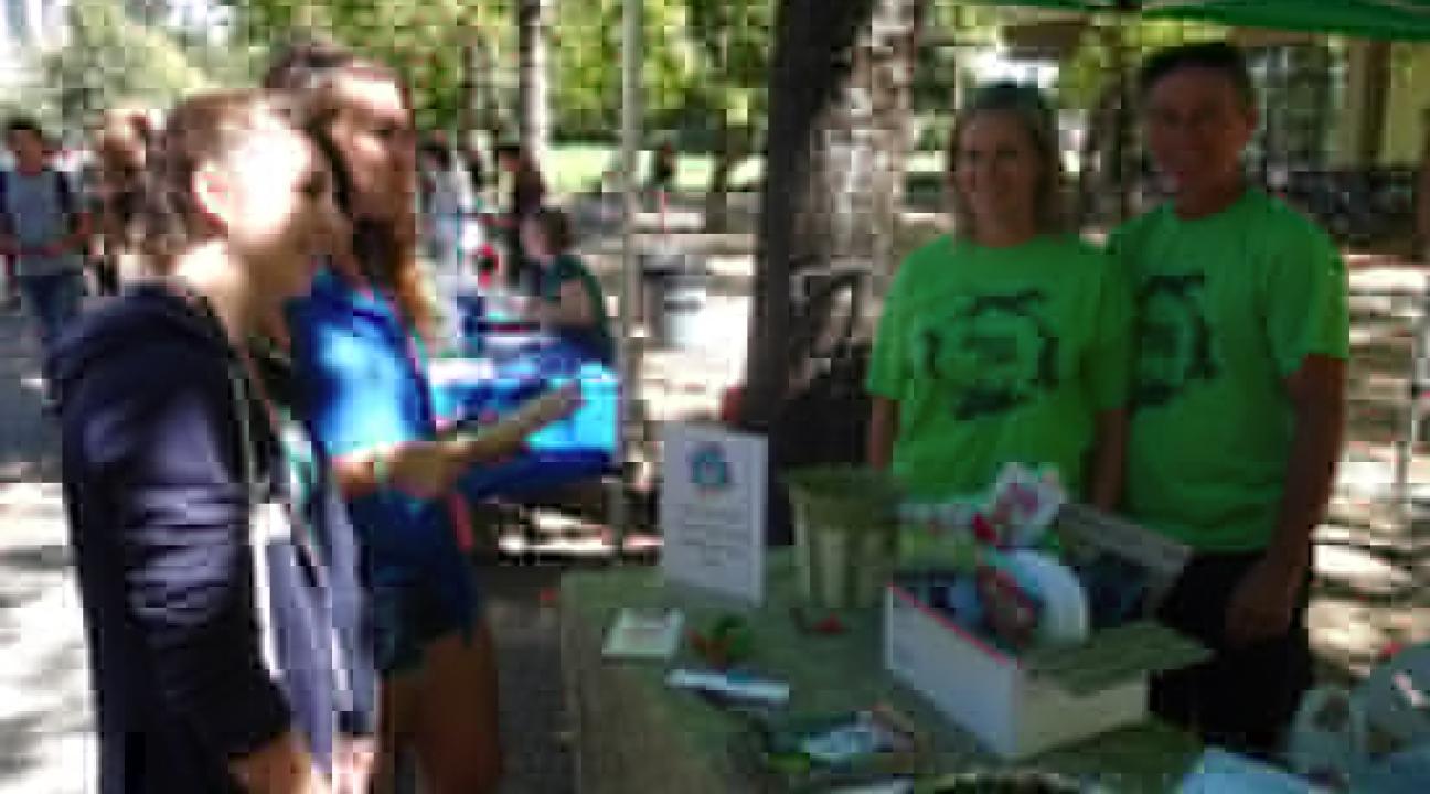 Service and internship fair tabling