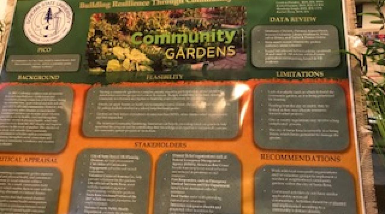 Project by the RNs for the City of Santa Rosa