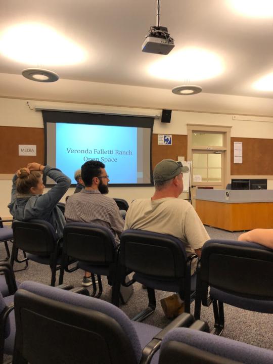The City Manager's presentation